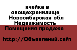 ячейка в овощехранилище - Новосибирская обл. Недвижимость » Помещения продажа   